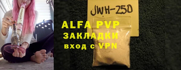 стаф Алексин