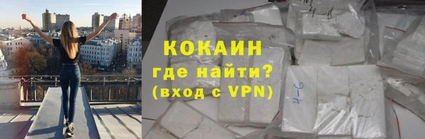 стаф Алексин