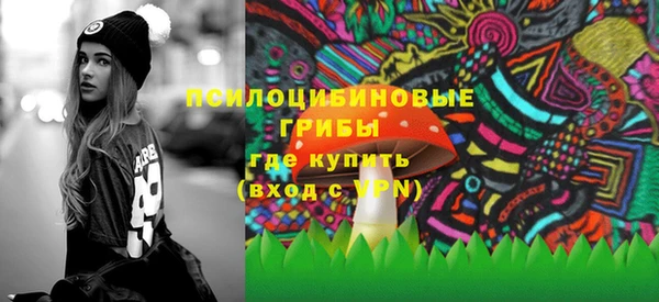 стаф Алексин
